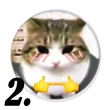Cicás kitűzők 2