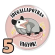 Oposszum kitűzők