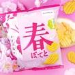 Kép 2/2 - Mini Japán Chips kulcstartó