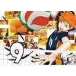 Haikyuu poszterek 10 féle