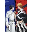 Bleach poszterek 8 féle