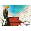 Bleach poszterek 8 féle