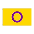 Kép 2/4 - XL Intersexual zászló