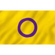 Kép 1/4 - XL Intersexual zászló