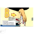 Vércsoportos mobildísz - B