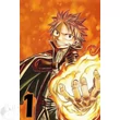Fairy Tail XL poszterek