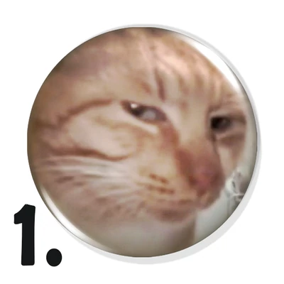 Cicás kitűzők