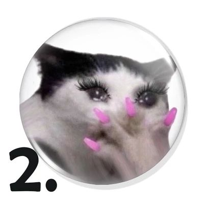 Cicás kitűzők