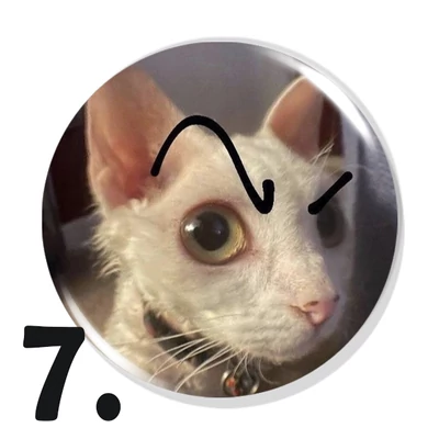 Cicás kitűzők