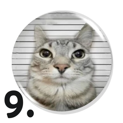 Cicás kitűzők
