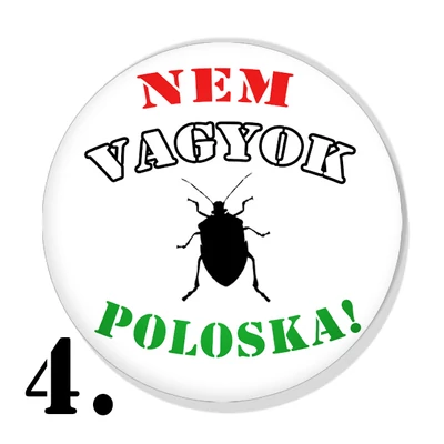 Poloska kitűzők