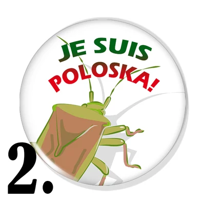Poloska vagyok kitűzők