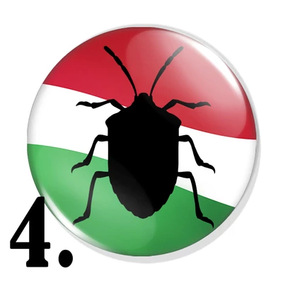 Poloska vagyok kitűzők