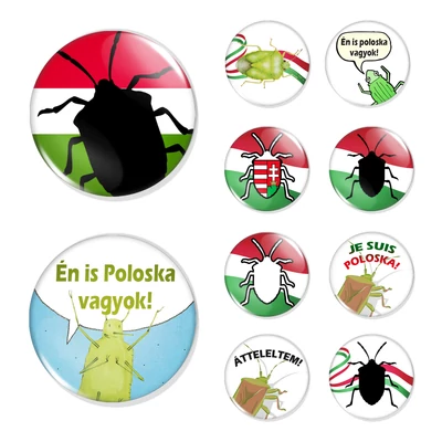 Poloska vagyok kitűzők