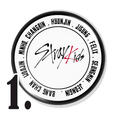 Stray Kids kitűzők