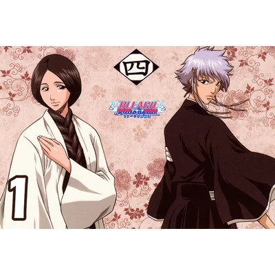 Bleach XL poszterek