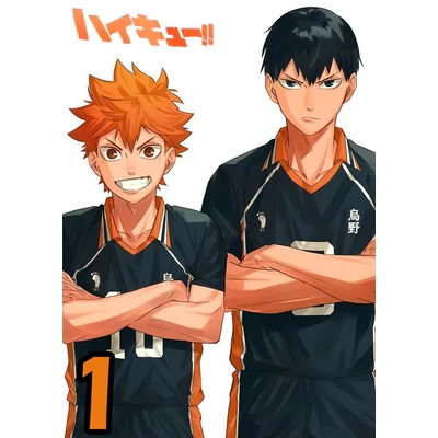 Haikyuu XL poszterek