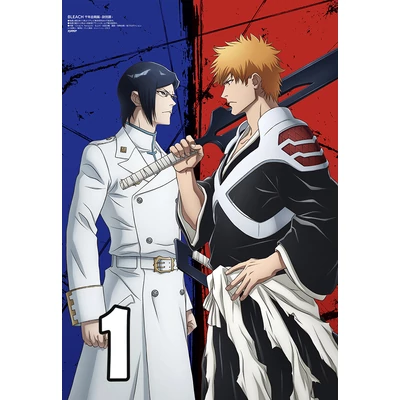 Bleach poszterek 8 féle