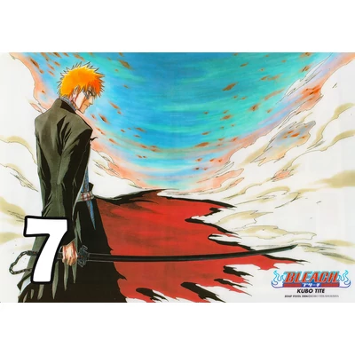 Bleach poszterek 8 féle
