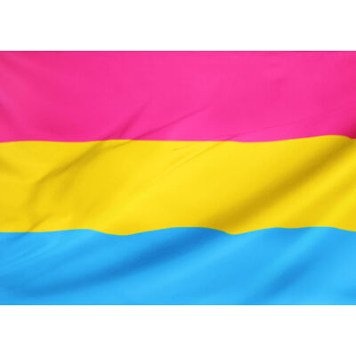 XXL Pansexual zászló