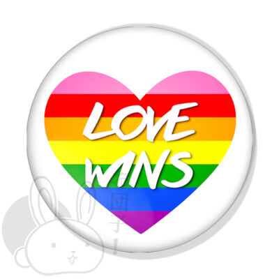 Love wins kitűző 1