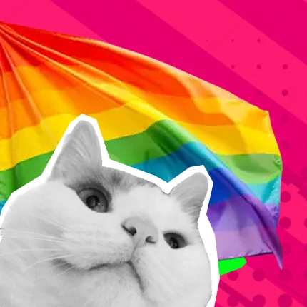Pride termékek